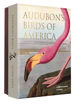 Audubon's Birds of America